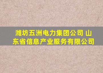 潍坊五洲电力集团公司 山东省信息产业服务有限公司